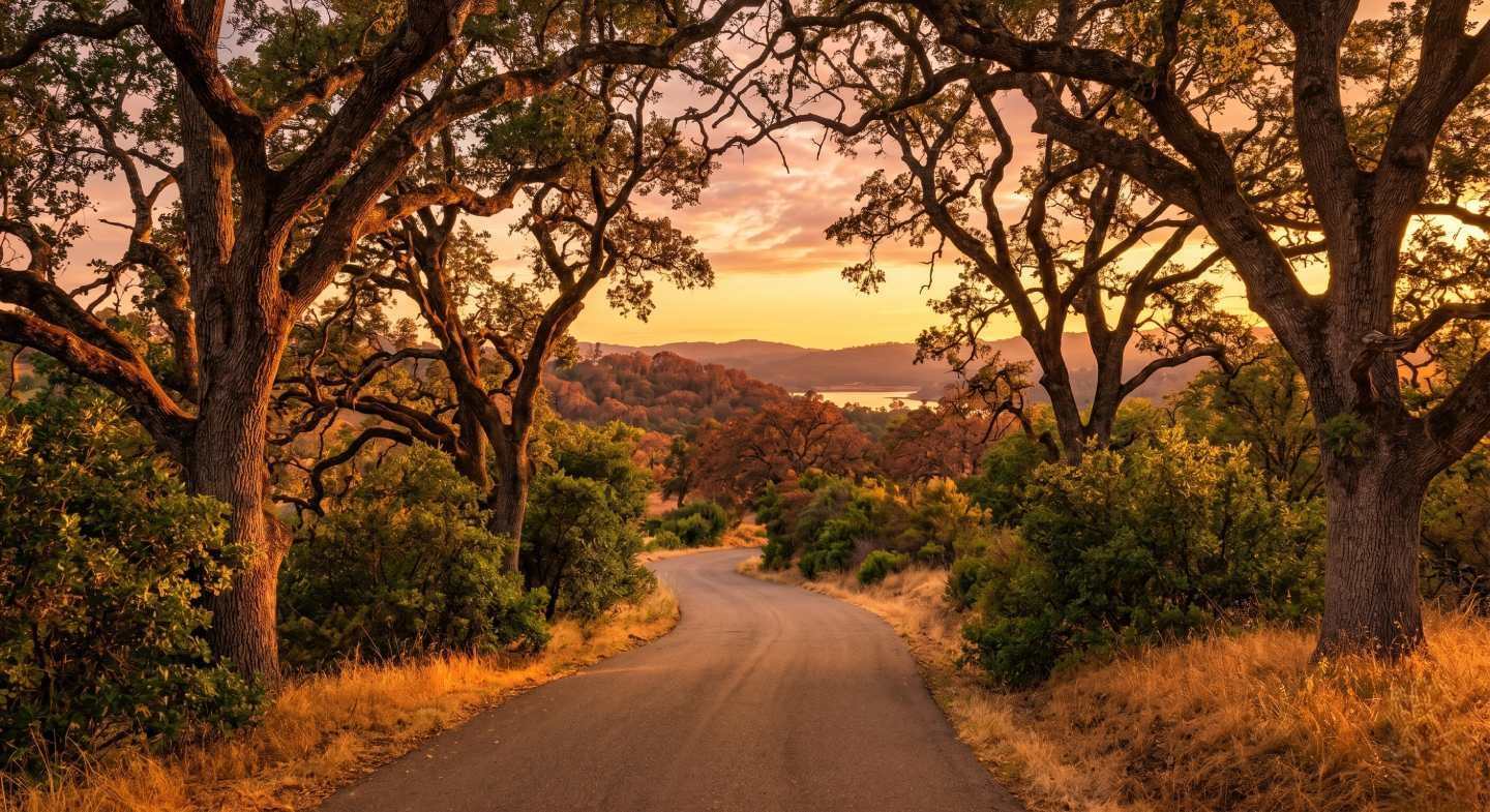 Oak Acreage